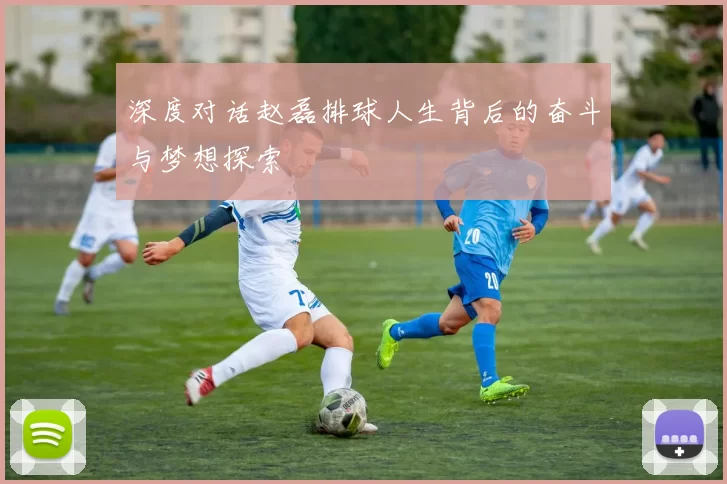 深度对话赵磊排球人生背后的奋斗与梦想探索