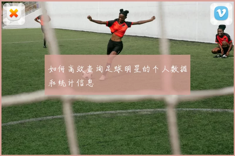 如何高效查询足球明星的个人数据和统计信息