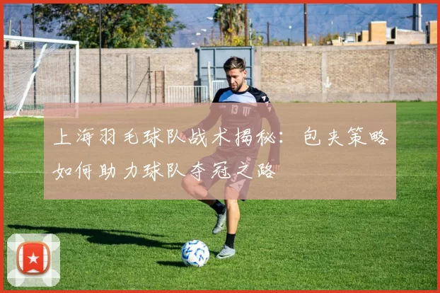 上海羽毛球队战术揭秘：包夹策略如何助力球队夺冠之路