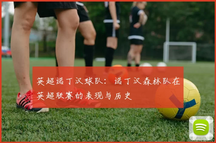英超诺丁汉球队：诺丁汉森林队在英超联赛的表现与历史