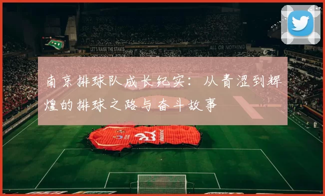南京排球队成长纪实：从青涩到辉煌的排球之路与奋斗故事