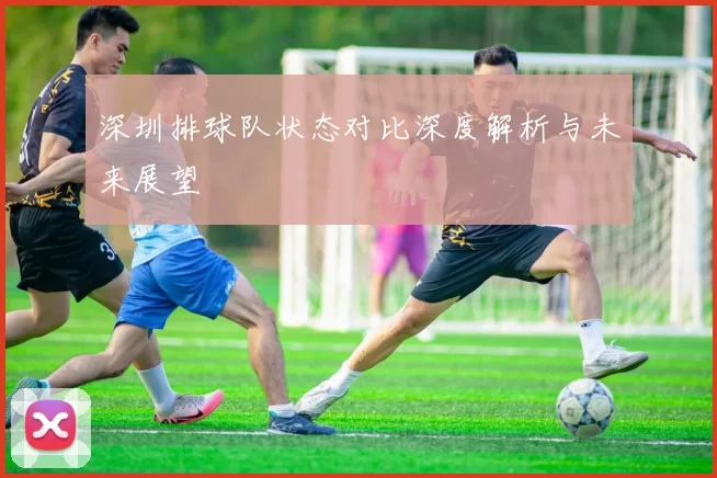 深圳排球队状态对比深度解析与未来展望