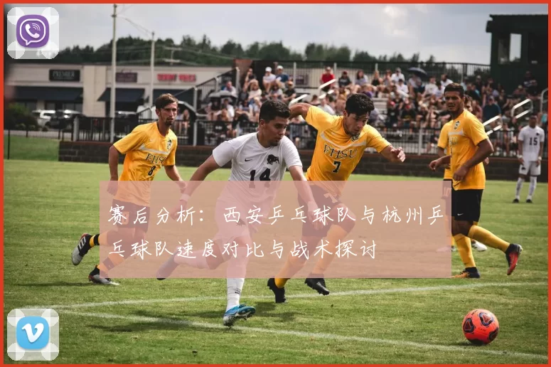 赛后分析：西安乒乓球队与杭州乒乓球队速度对比与战术探讨