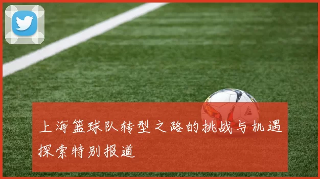 上海篮球队转型之路的挑战与机遇探索特别报道