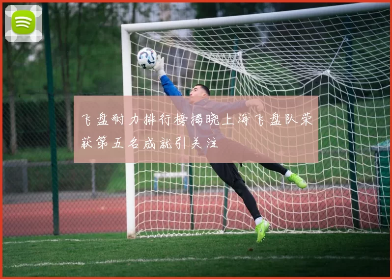 飞盘耐力排行榜揭晓上海飞盘队荣获第五名成就引关注