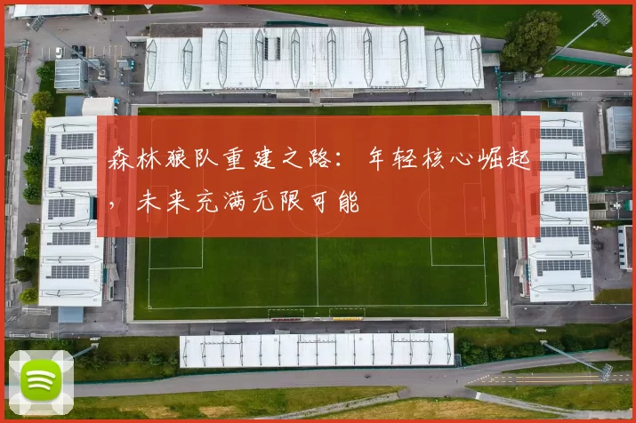 森林狼队重建之路：年轻核心崛起，未来充满无限可能