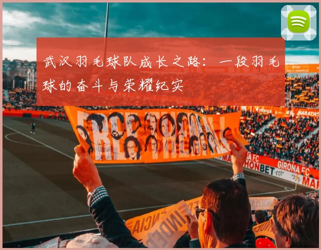 武汉羽毛球队成长之路：一段羽毛球的奋斗与荣耀纪实
