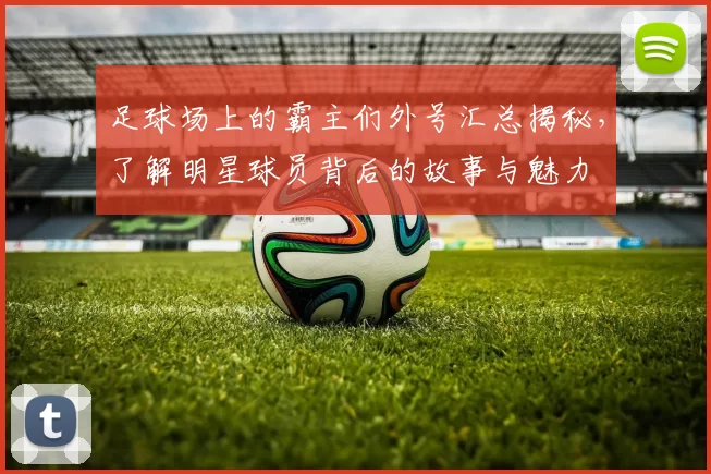 足球场上的霸主们外号汇总揭秘，了解明星球员背后的故事与魅力