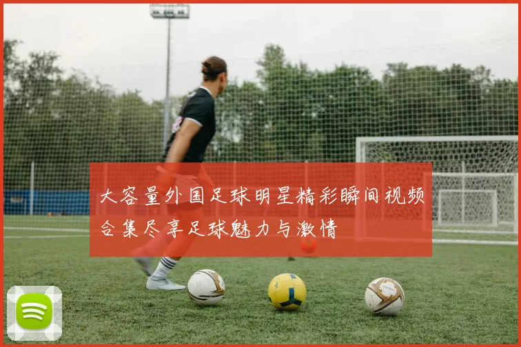 大容量外国足球明星精彩瞬间视频合集尽享足球魅力与激情