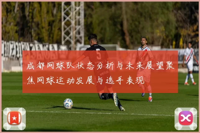 成都网球队状态分析与未来展望聚焦网球运动发展与选手表现