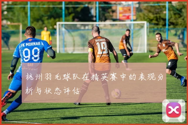 杭州羽毛球队在精英赛中的表现分析与状态评估