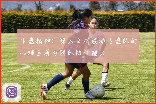 飞盘精神：深入分析成都飞盘队的心理素质与团队协作能力