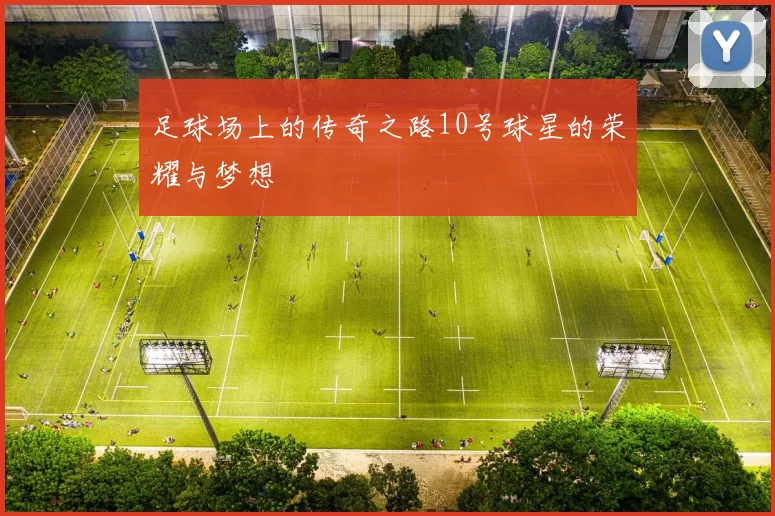 足球场上的传奇之路10号球星的荣耀与梦想