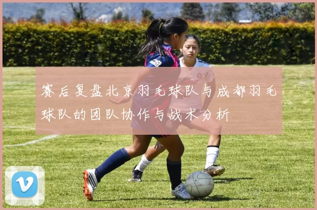 赛后复盘北京羽毛球队与成都羽毛球队的团队协作与战术分析