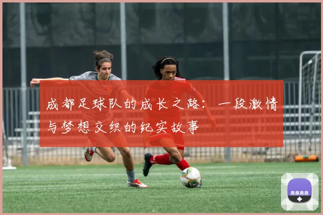 成都足球队的成长之路：一段激情与梦想交织的纪实故事