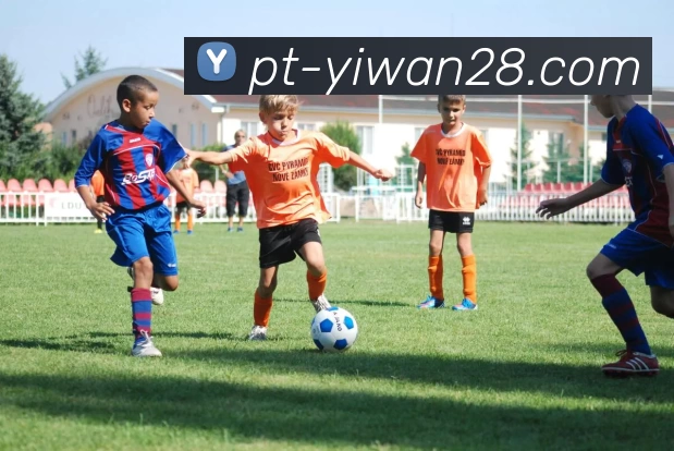 亿万28平台生态图